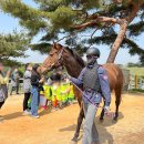 초롱목장 이미지