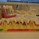 서울수미치과의원 이미지