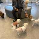 365동판교동물병원 이미지