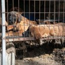 재석농장 이미지