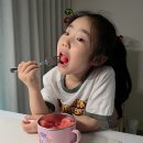 고당도 - 용인시 처인구 양지로 125-3 | 흑미수박 뜻부터 수박 효능까지 수토마제 고당도 수박 후기