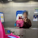 정다스윔 공구템 후기｜저스트포미 메쉬백 핑크 실사용 리뷰 (수영가방 추천)