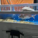 포장맛차수송점 이미지