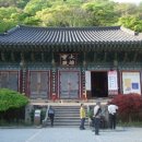 대흥사 이미지