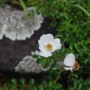 진주 오방재 이미지