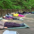 치유의숲 이미지