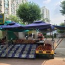 목련청과축산