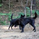 태산농장 2 이미지