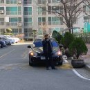 잡담 여러가지 (쎄라토유로+세라토유로+I30+투스카니엘리사+현기차+국썩+KDM+세차장+모임+번개+잡담...