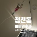 청천하늘이비인후과의원 | 청천동 청천하늘이비인후과 독감수액 가능 및 가격 내돈내산