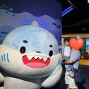 월드광고기획 - 남양주시 해밀예당1로200번길 2 | 33개월 아기랑 롯데월드 아쿠아리움 롯데몰 실내 나들이 (재방문 의사 100%)