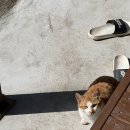 앗싸노래방 | [백수12일차/4.12] 어릴 땐 죽어도 도시에서 살겠다고- 그 때는 도시의 지긋지긋함을 모르고-