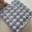 에그린농장 | 훈제란 판매하는 곳 에그린! 여기가 구운란 맛집!