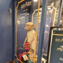 신동사 | [판교 현대백화점] 해리포터 &amp; 신비한 동물사전 팝업스토어 방문 후기 (덕후 심멎 주의)