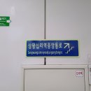 상왕십리역 시민일보