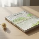 괴테의 젊은 베르테르의 슬픔 | 고래의 숲 젊은 베르테르의 슬픔 후기