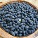 산너머농장 이미지