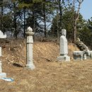 수성최씨시조묘 이미지