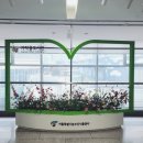 영양공공도서관 | 오마이뉴스 시민기자 기사 채택 후기(30번째)_가락몰도서관