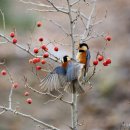 산새민박 이미지