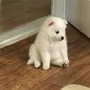 산호동106 | <창원 NC파크> NC 다이노스 • 내야석 106 블록