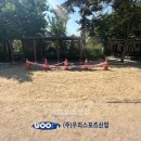 경희초등학교 이미지