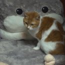 진상농장 이미지