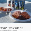 카멜리 이미지