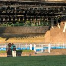 야당5통 이미지