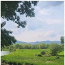 열린행정사사무소 이미지