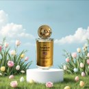 노암세탁소 이미지