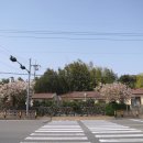 회수동-6 이미지