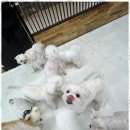 노케이지 네이버블로그