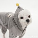 디자인바이펫 이미지