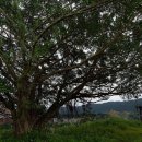 남강공원 이미지