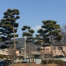 선비쉼터지구 이미지