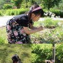 옹기골길 이미지