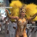 삼바 파고지 이미지