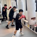 파파복스 복싱클럽 이미지