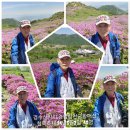 은철축산 | (240502)경수산악회 경남합천 황매산/철쭉축제 트레킹