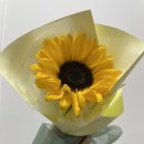 플로제이