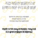 로와로운 이미지