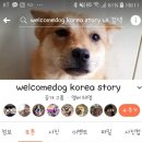 웰컴독 이미지