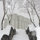 엘리시안강촌콘도 이미지