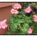 샘물어린이집 이미지