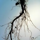 동서림한의원 이미지