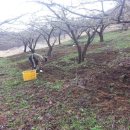 말구리농장 이미지