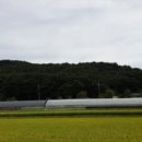 금마면 인흥마을회관 이미지