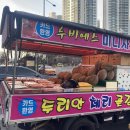 두리안하우스 네이버블로그