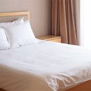 그린피아 이미지